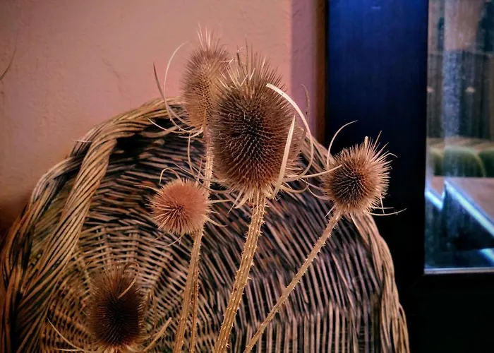 Casa Maños - Сasa de vacaciones Rubielos De Mora